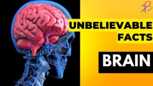 10 Unbelievable Facts About the Brain That Will Change How You Think