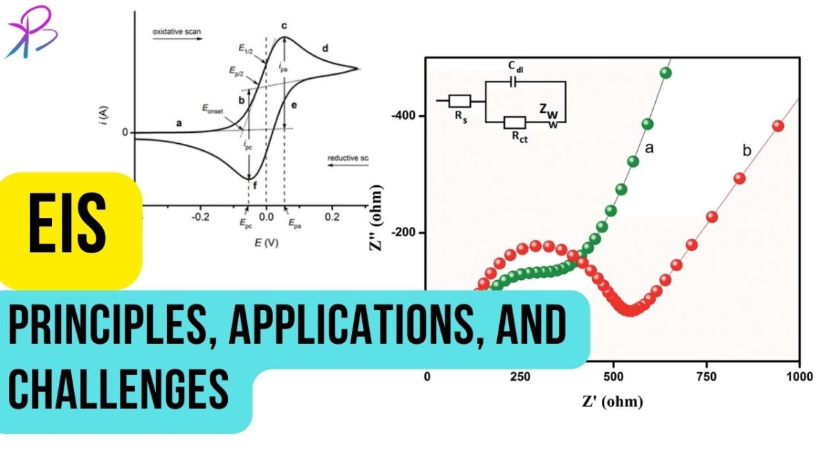 Electrochemical Impedance Spectroscopy (EIS): Principles, Applications, and Challenges