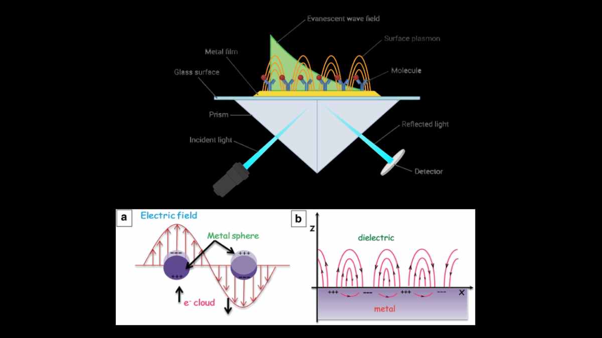 Surface Plasmon Resonance (SPR)