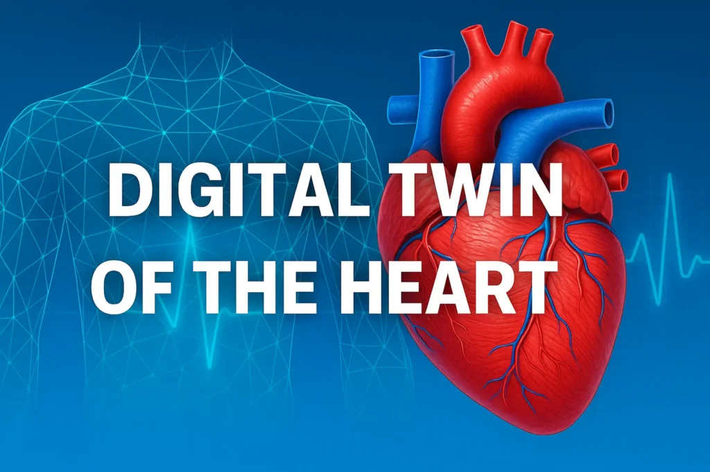 Digital Twin of the Heart